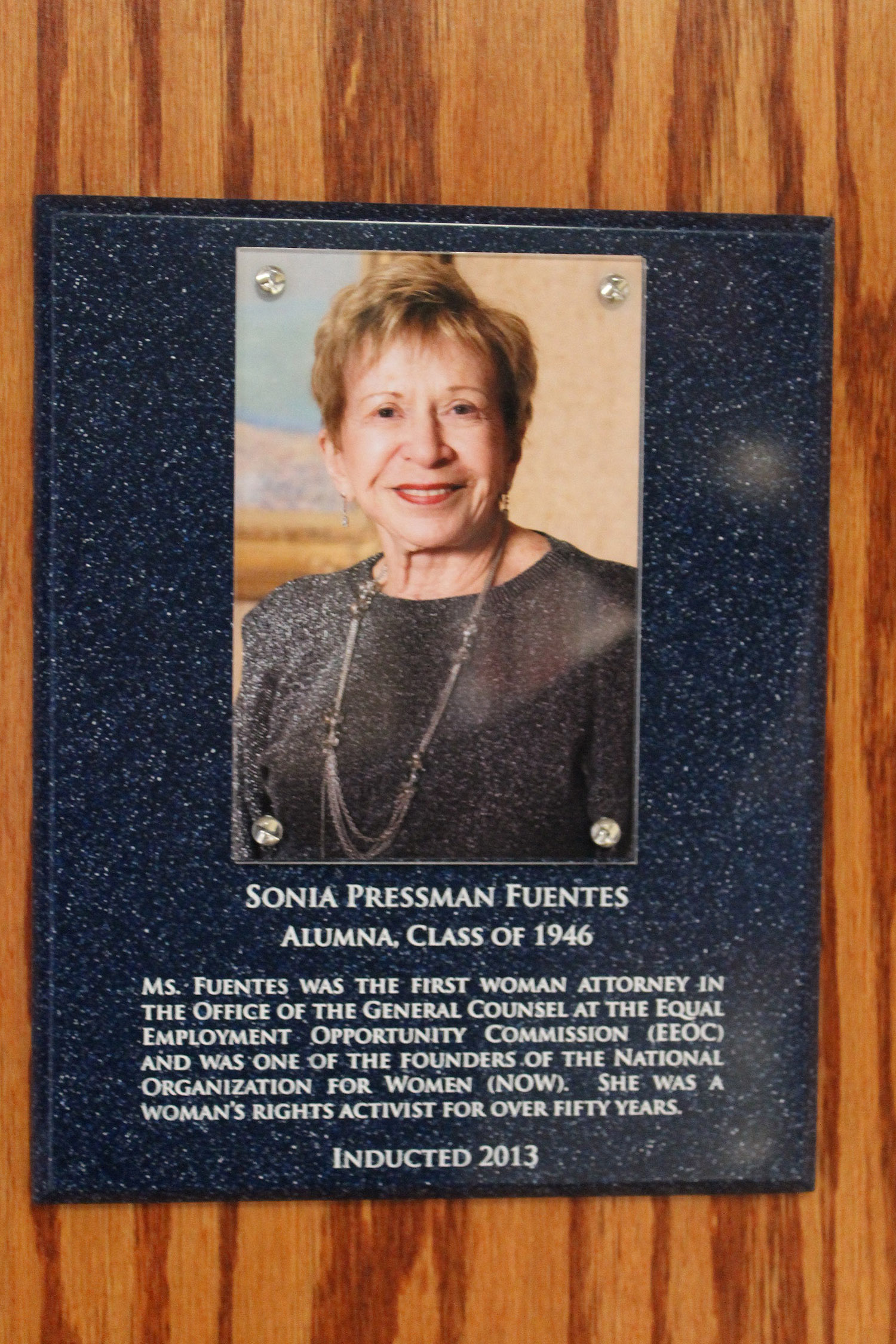 Hall of Distinction, Central Monticello (NY) Central School District: Plaque about Sonia and the plaques for the ten inaugural inductees (unveiling on Nov. 3, 2013).
